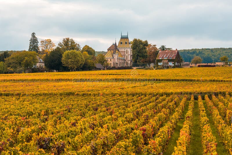 Château avec des vignobles pendant la saison d'automne, Bourgogne, France