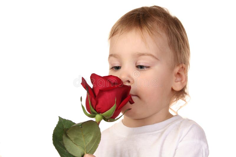 Chéri avec rose2 images libres de droits Chéri avec rose2 images libres de droits
