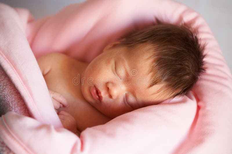 Portrait of sleeper newborn baby in the rose cover. Portrait of sleeper newborn baby in the rose cover