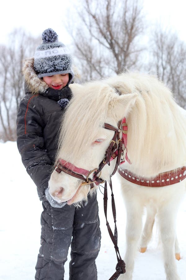 Little boy feeding horses outdoors. Little boy feeding horses outdoors