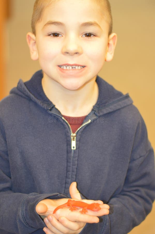 A young boy holds a 3D Gecko that was made on a 3D printer. He is missing one of his bottom teeth. He is wearing a blue hoodie sweatshirt. A young boy holds a 3D Gecko that was made on a 3D printer. He is missing one of his bottom teeth. He is wearing a blue hoodie sweatshirt.