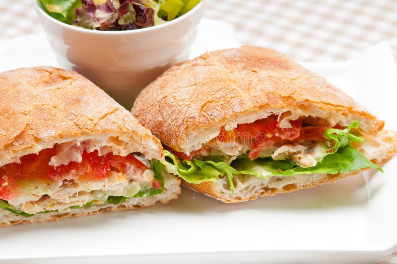 Ciabatta Panini Sandwich with Chicken and Tomato Stock Image Image of