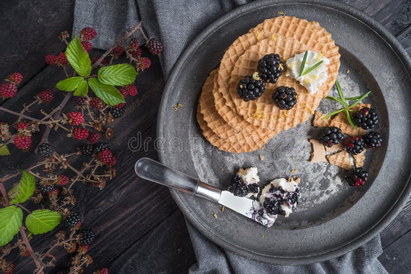 Cialde belghe della prima colazione sana con le more ed il Cr selvaggi immagine stock libera da diritti Cialde belghe della prima colazione sana con le more ed il Cr selvaggi immagine stock libera da diritti