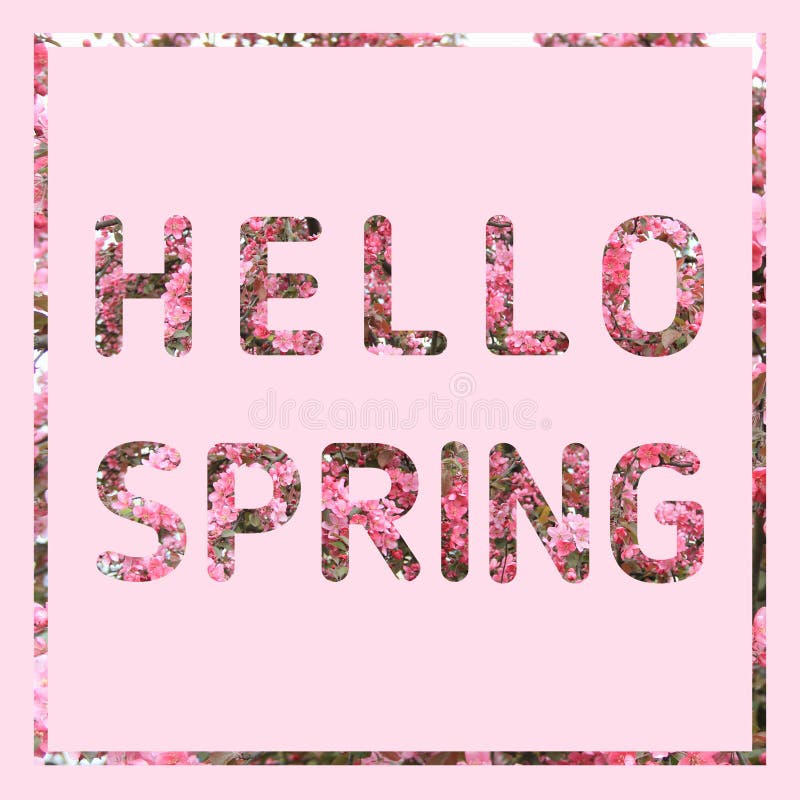 Ciao testo della primavera sul fondo di rosa pastello illustrazione vettoriale Ciao testo della primavera sul fondo di rosa pastello illustrazione vettoriale