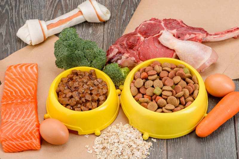 Cibo per cani secco ed umido fotografia stock libera da diritti Cibo per cani secco ed umido fotografia stock libera da diritti