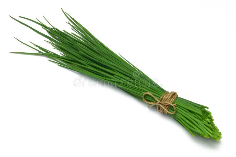 Ciboulette de série d'herbe images libres de droits Ciboulette de série d'herbe images libres de droits