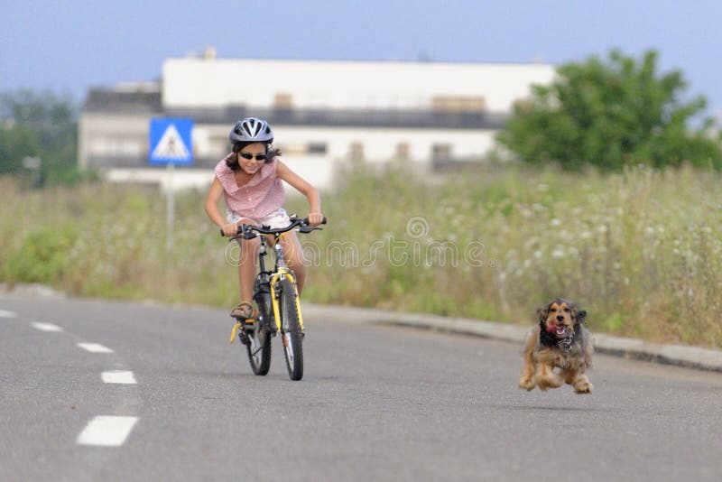 Ciclismo da menina e corredor do cão imagens de stock royalty free Ciclismo da menina e corredor do cão imagens de stock royalty free