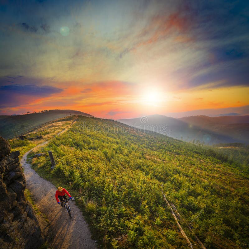 Ciclismo di montagna che cicla al tramonto nella lan della foresta delle montagne di estate
