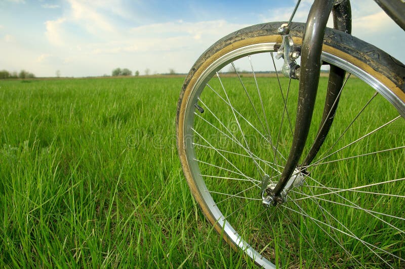 Bicycle wheel on a green field. Bicycle wheel on a green field