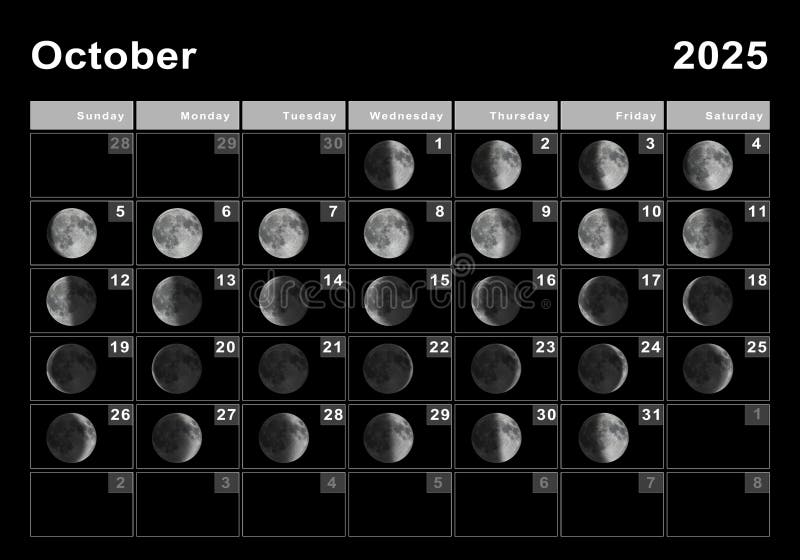 Ciclo Lunar De Octubre De 2025 Stock de ilustración Ilustración de