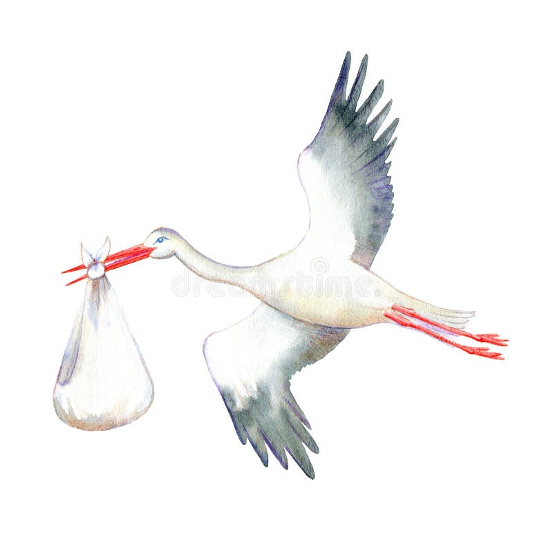 Stork with baby.Newborn picture. Watercolor hand drawn illustration. White background. Stork with baby.Newborn picture. Watercolor hand drawn illustration. White background.