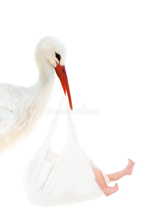 A stork carrying a baby in a white bag. A stork carrying a baby in a white bag.