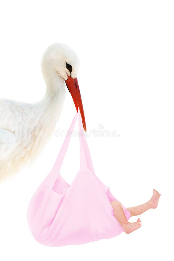 A stork holding a pink bag with a baby in his beak. A stork holding a pink bag with a baby in his beak