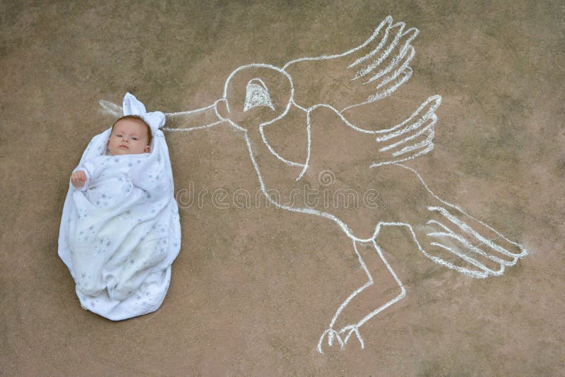 A stork holding a newborn baby in a white blanket. A stork holding a newborn baby in a white blanket