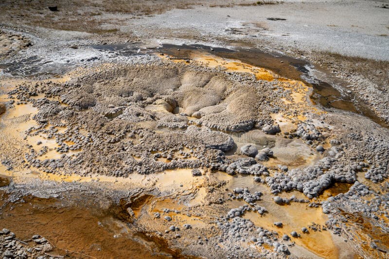 Ciekawe faktury i kolory Anemone Geyser, gorąca wiosna w Kotlinie Górnego Geysera, Park Narodowy Yellowstone, Wyoming obrazy royalty free
