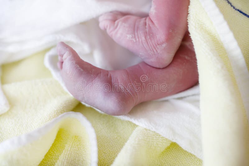 Feet of Newborn child seconds and minutes after birth. Cute tiny new born baby girl on towel. New life, beginning, healthcare. Feet of Newborn child seconds and minutes after birth. Cute tiny new born baby girl on towel. New life, beginning, healthcare.