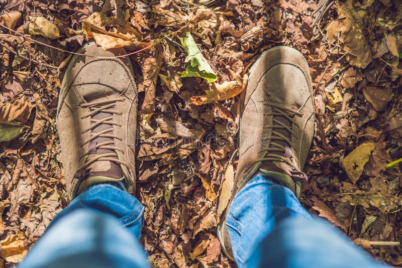 Cieki sneakers chodzi na spadku opuszczają w parku z jesień sezonem obrazy royalty free Cieki sneakers chodzi na spadku opuszczają w parku z jesień sezonem obrazy royalty free