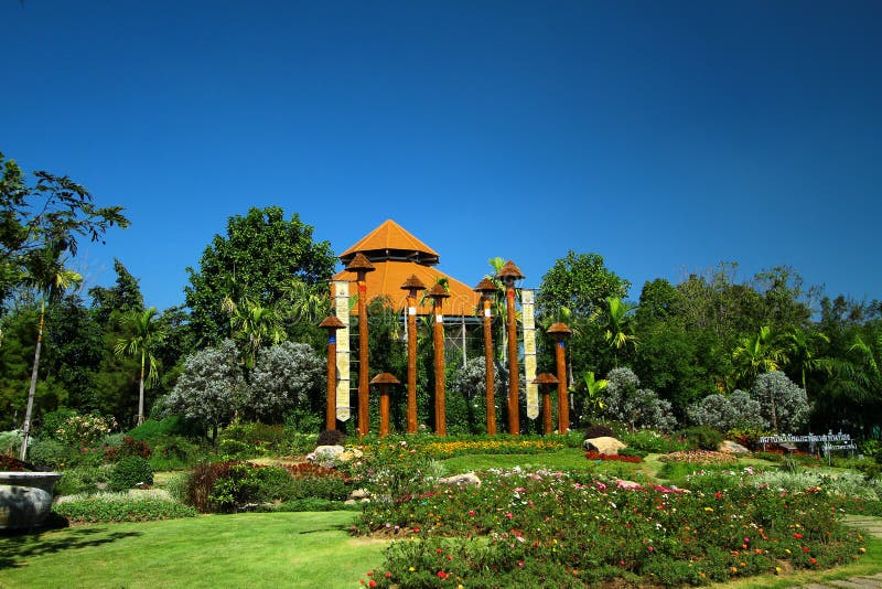 Árbol verde con el cielo azul en flora real