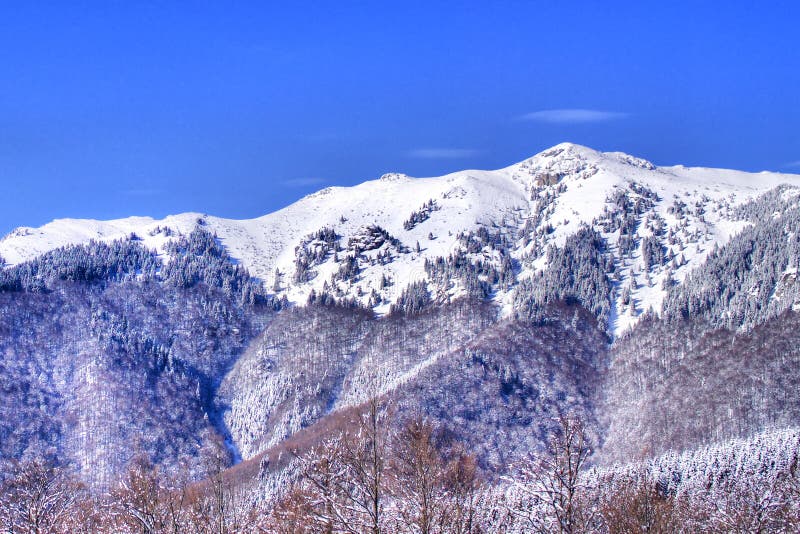 Cielo azul, montaña nevosa, bosque de los abetos foto de archivo Cielo azul, montaña nevosa, bosque de los abetos foto de archivo
