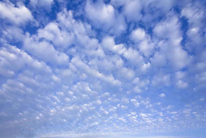 Cielo blu con le nubi di cumulo