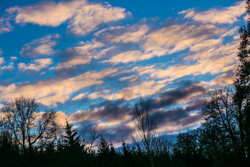 Cielo blu scuro di tramonto coperto di nuvole bianche rosa fotografia stock libera da diritti Cielo blu scuro di tramonto coperto di nuvole bianche rosa fotografia stock libera da diritti