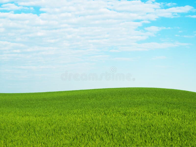 cielo de la hierba cielo de la hierba