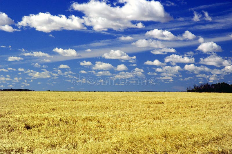 CIELO DE SASKATCHEWAN imagen de archivo libre de regalías CIELO DE SASKATCHEWAN imagen de archivo libre de regalías