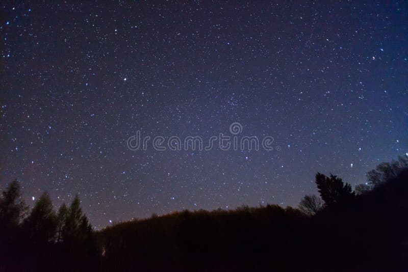 2,359 Cielo Estrellado Sobre El Bosque Fotos de stock - Fotos libres de ...