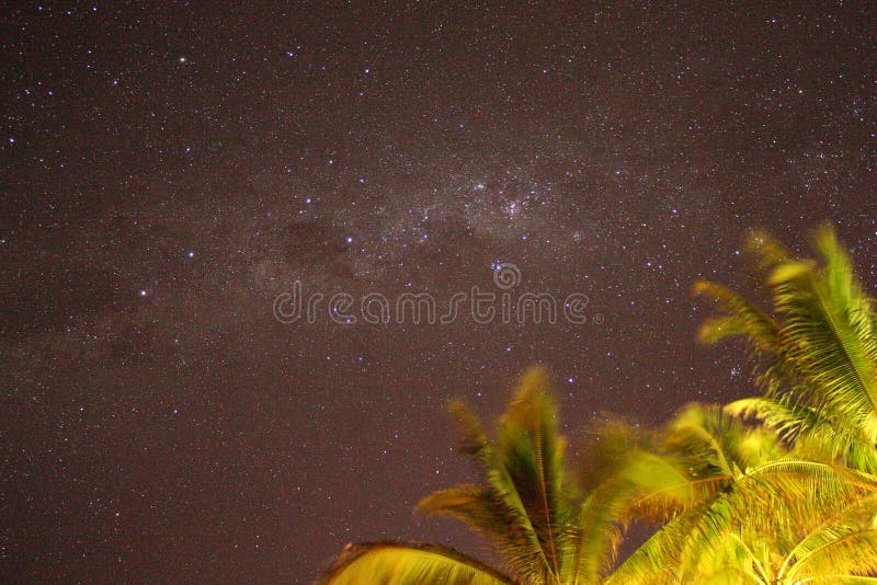Cielo estrellado con Vía Láctea y palmeras de primer plano fotos de archivo Cielo estrellado con Vía Láctea y palmeras de primer plano fotos de archivo