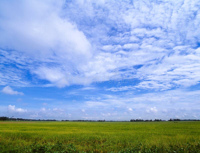 Cielo meraviglioso immagine stock Cielo meraviglioso immagine stock