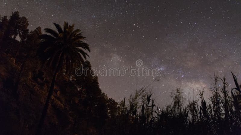 Cielo nocturno amarillo estrellado foto de archivo Cielo nocturno amarillo estrellado foto de archivo
