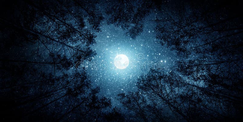Cielo nocturno hermoso, la vía láctea, luna y los árboles Elementos de esta imagen equipados por la NASA