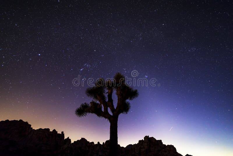 Cielo nocturno sobre Joshua Tree National Park, California imágenes de archivo libres de regalías Cielo nocturno sobre Joshua Tree National Park, California imágenes de archivo libres de regalías