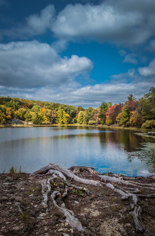 Cielo quebradizo dramático del otoño sobre el lago Tyrrel en el jardín de Innisfree, Millbrook, Nueva York foto de archivo Cielo quebradizo dramático del otoño sobre el lago Tyrrel en el jardín de Innisfree, Millbrook, Nueva York foto de archivo