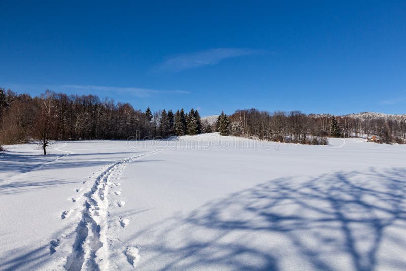 Cielo soleado claro con un paisaje hermoso en árboles nevados por una mañana de la Navidad evanescente en las montañas imagen de archivo libre de regalías Cielo soleado claro con un paisaje hermoso en árboles nevados por una mañana de la Navidad evanescente en las montañas imagen de archivo libre de regalías