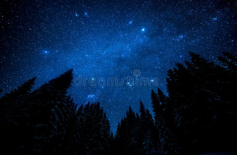 Cielo stellato nella foresta di notte