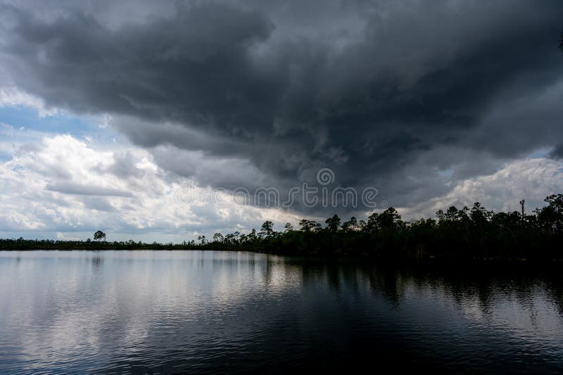 Ciemne chmury burzowe nad jeziorem sosnowym w everglades park narodowy florida. obraz stock