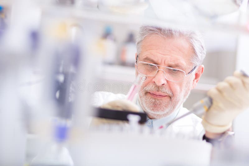 Cientista de vida que pesquisa no laboratório. imagem de stock Cientista de vida que pesquisa no laboratório. imagem de stock