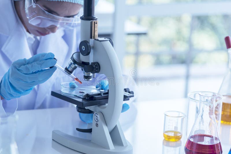 Cientista novo que olha atrav?s de um microsc?pio em um laborat?rio Cientista novo que faz alguma pesquisa Mulher do retrato do s fotos de stock Cientista novo que olha atrav?s de um microsc?pio em um laborat?rio Cientista novo que faz alguma pesquisa Mulher do retrato do s fotos de stock