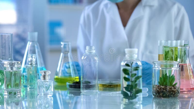 Cientista que olha extratos ervais líquidos na garrafa, testes orgânicos da perfumaria fotografia de stock Cientista que olha extratos ervais líquidos na garrafa, testes orgânicos da perfumaria fotografia de stock