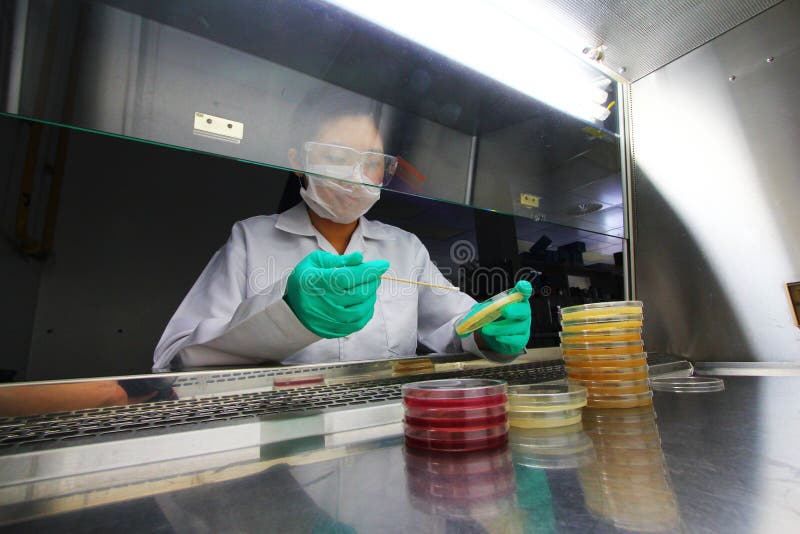 Científico asiático joven que realiza pruebas microbianas en laboratorio imagen de archivo Científico asiático joven que realiza pruebas microbianas en laboratorio imagen de archivo