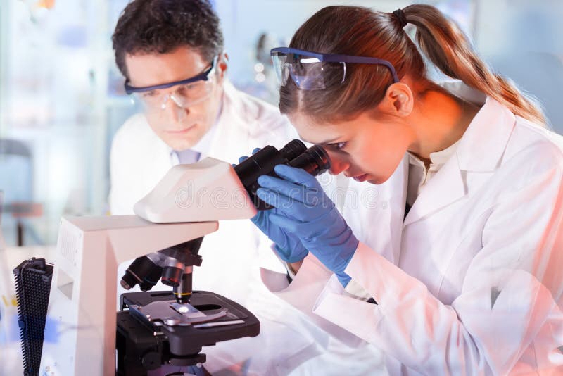 Científico de vida que investiga en laboratorio genético imágenes de archivo libres de regalías Científico de vida que investiga en laboratorio genético imágenes de archivo libres de regalías