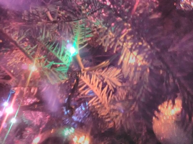 Cierra las luces de Navidad en un árbol