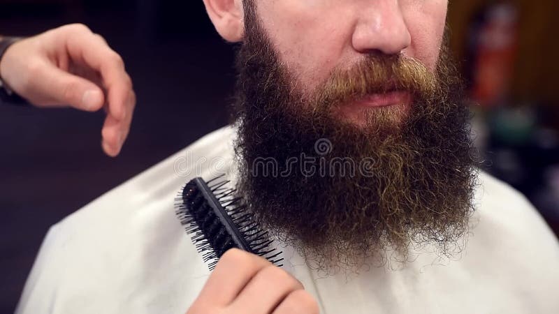 Cierre cosechado encima del propósito de peinar la barba rizada marrón con el cepillo en manos cosechadas del peluquero antes de
