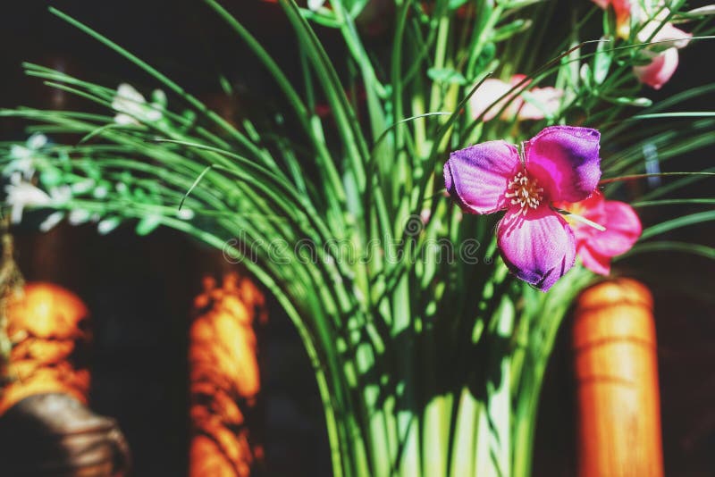 Cierre de flor rosa falsa fotos de archivo libres de regalías