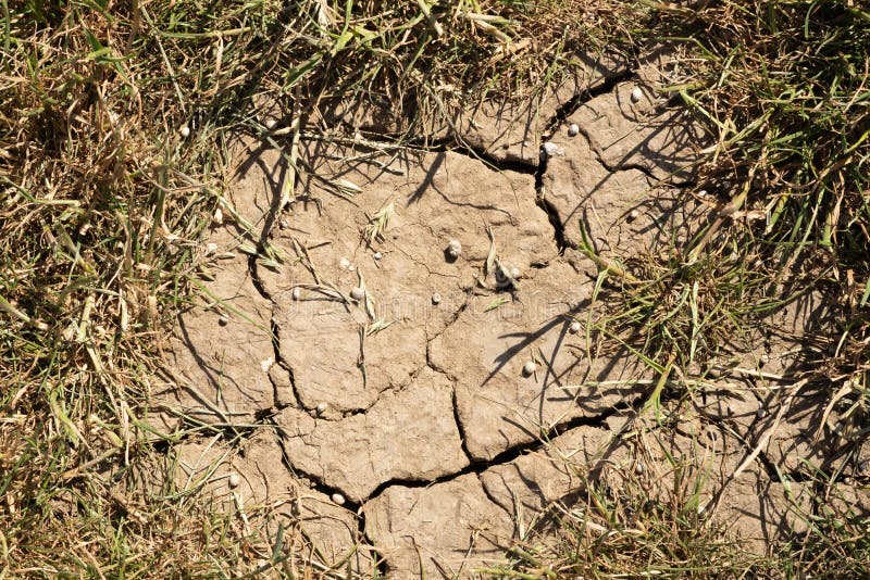 Cierre de la tierra seca craqueada bajo el efecto vermífugo global. rajadura y sequía en el verano imagenes de archivo