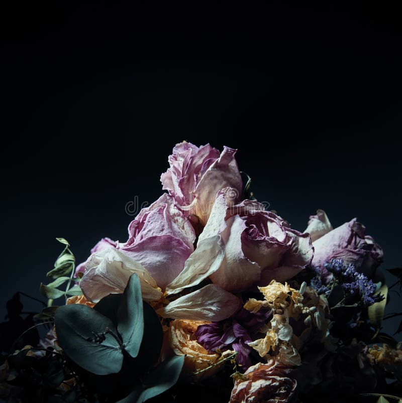 Cierre del ramo de flores secas sobre fondo oscuro con copia foto de archivo