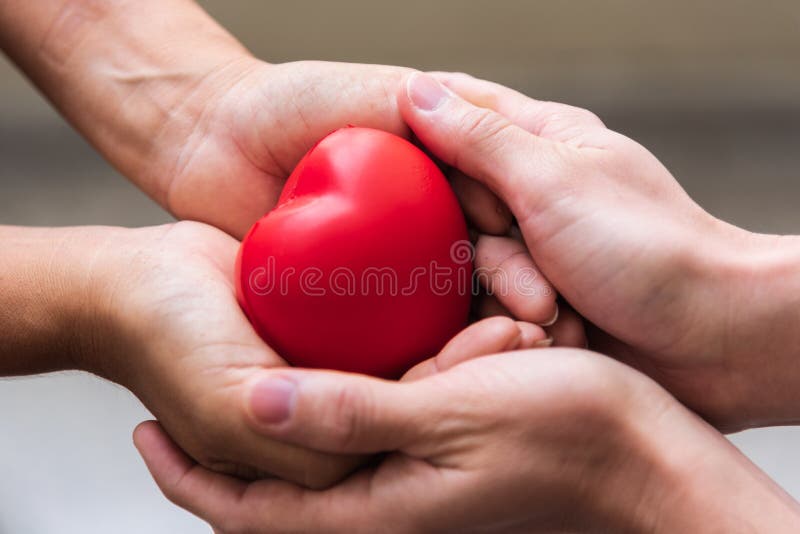 Cierre encima de la mano que da el corazón rojo como donante de corazón Día de San Valentín de