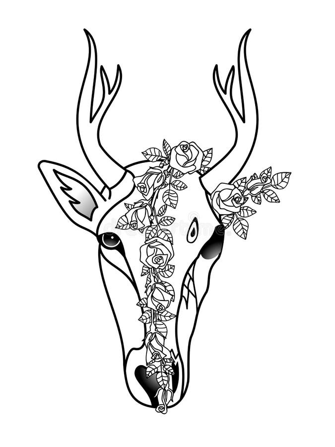 Ciervos - vida y muerte ilustración del vector. Ilustración de esqueleto - 58777946
