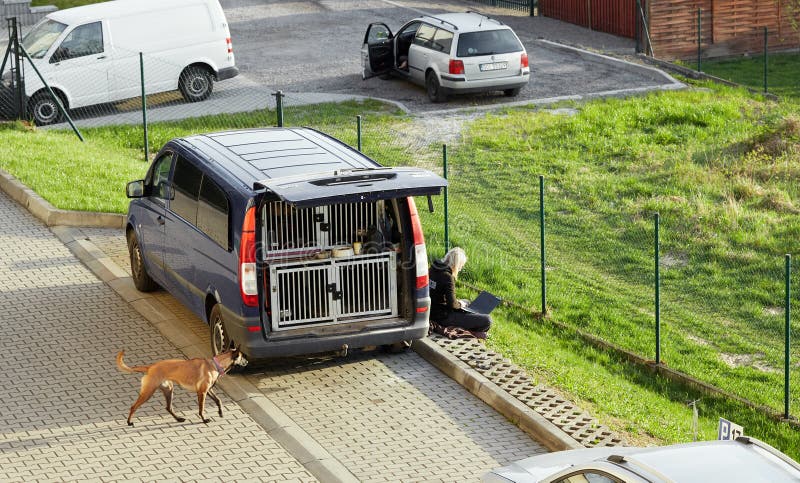Cieszyn, Polônia - 15 de abril de 2018: Máquina especial para cães levando fotos de stock Cieszyn, Polônia - 15 de abril de 2018: Máquina especial para cães levando fotos de stock